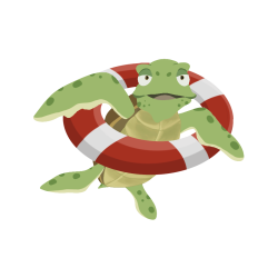 turtle_copy